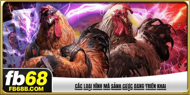 Các loại hình mà sảnh cược đang triển khai