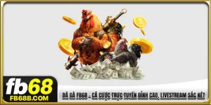 Đá gà FB68
