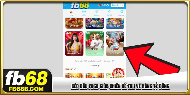 Kèo đấu FB68 giúp chiến kê thu về hàng tỷ đồng