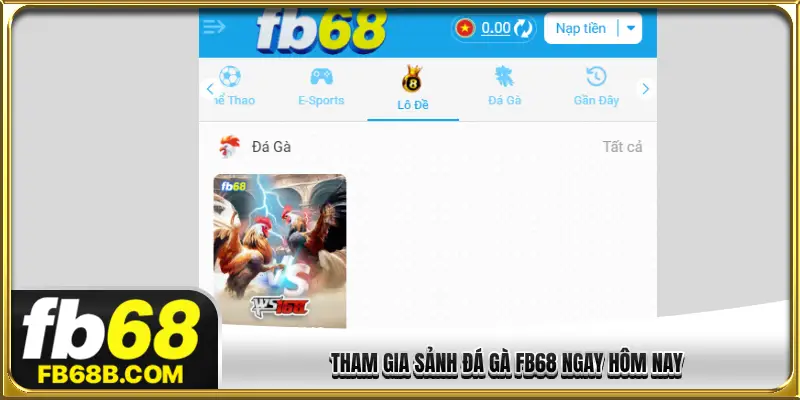 Tham gia sảnh đá gà FB68 ngay hôm nay